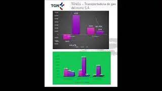 TGNO4 – TRANSPORTADORA DE GAS DEL NORTE S.A. - 2T 2024 #shorts