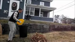 Concord Spring Leaf Collection