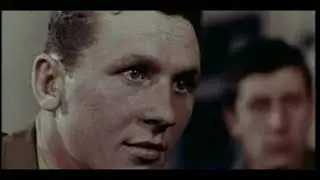 С неба на землю в бой (ВДВ)