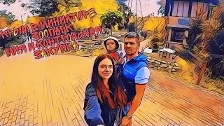 МамаМия ВЛОГ! Как варить яйцо пашет? Кого встретили в зоопарке? Большая закупка на неделю