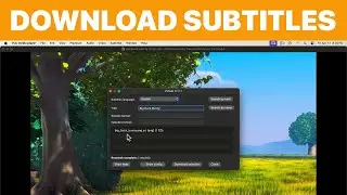 How to Download and Add Subtitles in VLC on Mac (Tutorial)