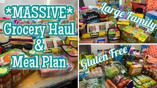 *MASSIVE* Grocery Hauls with Weekly Meal Plan for a Gluten Free Large Family