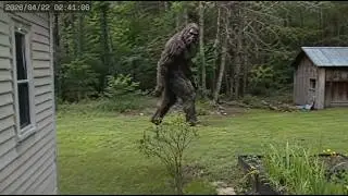 The Most Horrifying NEW Attacks From Portlock Alaska EVER Recorded!