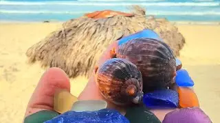 Beachcombing Magazine 43 Highlights
