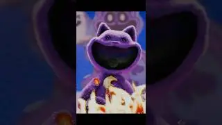 The Story of CatNap