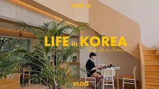 Life in Korea VLOG, NOT SEOUL or BUSAN! Daily life in a Korean coastal city!