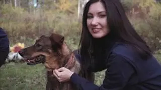 Возьми собаку из приюта! Не покупай!