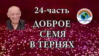 24 часть 