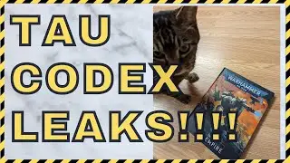 Tau Codex Leaks - OVERWATCH, FTGG, SAVIOUR PROTOCOLS AND MARKERLIGHTS OH MY!