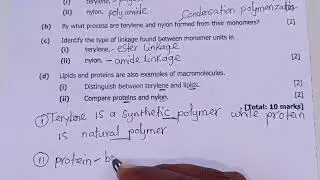 Organic Chemistry 2024 Exams Section C