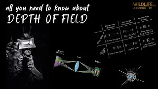How to control Depth of Field in Macro Photography..??