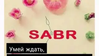 красивые видео.за 30 руб.🌸🌹🌹