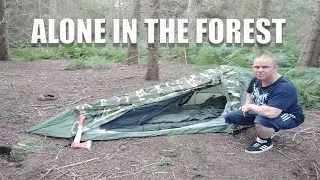 Stealth camping in a pine forest. Solo wild camping.