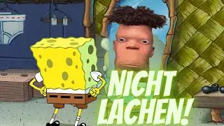 NUR FÜR DIE HÄRTESTEN: WER HIER LACHT, HAT VERLOREN! 😆
