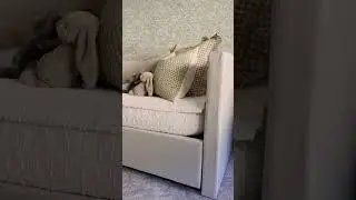 The Cutest Kids Room Refresh For Your Girls to Enjoy 🌷 | Living Spaces