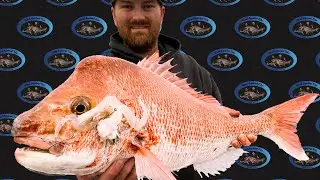 You Won't believe what we catch