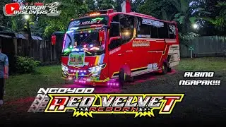 [[ ALBINONYA NGAPAK🔥🔥]] Ngoyod Bus Cahaya Abadi Red Velvet!!!!