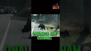 Onalarga ham osonmas