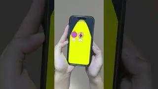 A day in my life