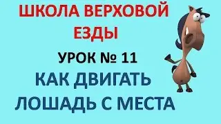 Как двигать лошадь с места в шаг