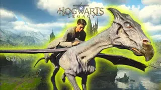NEW Hogwarts Legacy Summer Update