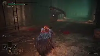 #16. ELDEN RING.  [PS5]. Идём за головой дракона Фортисакс. Стрим.