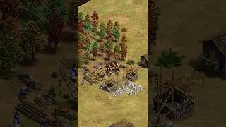 Insane Quickwall