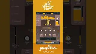 “There Will Never Be Another You,” played by Seiji Tada on SWAM Alto Sax