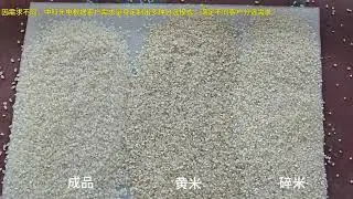 AMD Super RG series large-volume deep learning rice special yellow and white rice sorting machine