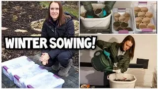 How to Winter Sow WITHOUT Milk Jugs!