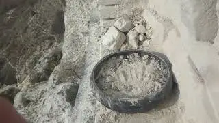 nidum peregrinorum.гніздо  для мандрівного сокола.гнездо для сапсана.nest for peregrine falcon