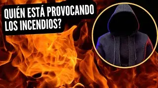 INCENDIOS FORESTALES PROVOCADOS
