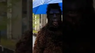 Bigfoot spotted coming to our show