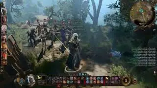 Baldur's Gate 3 2024 07 28   13 48 39 01