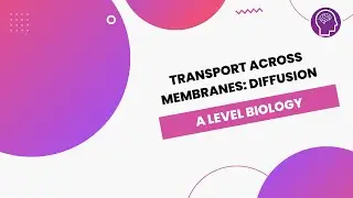 Transport Across Membranes: Diffusion | A Level Biology | OCR, AQA, Edexcel