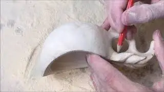 demo 6