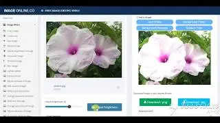 Adjust brightness of image - imageonline.co