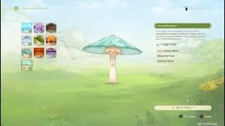 Genshin Impact_ Fungi