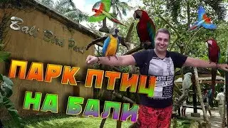 ПАРК ПТИЦ НА БАЛИ
