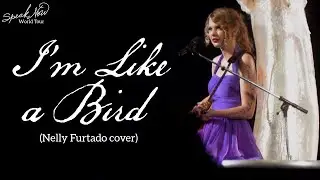 Taylor Swift - I'm Like a Bird (Cover) (Live on the Speak Now World Tour)