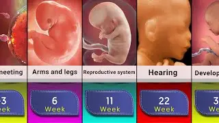 Comparison: Baby Development from 0 to 9 Months