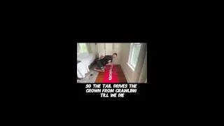 Tail Drives The Crown