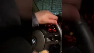 Жена попросила погулять с собакой