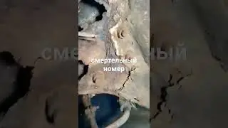смертельный номер