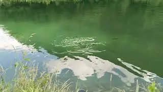 На пороге неба
