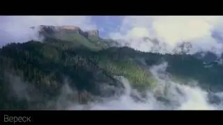 ~Коты-Воители,Трейлер •Последний богатырь•~