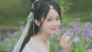 七叔叶泽浩《半生雪》【歌词字幕 完整版高清无损音质】♫