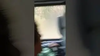 Шунды джужа.