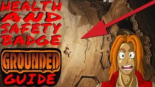 How to find Health and Safety Badge Grounded Trinket Guide
