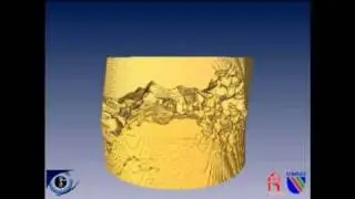 3DSCC ligament